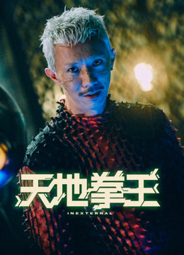 天地拳王(粤语)