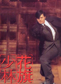 花旗少林（粤语）