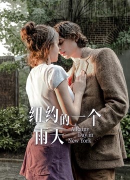 纽约的一个雨天(普通话)