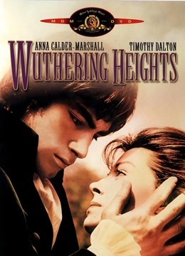 呼啸山庄(1992)