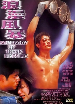 浪漫风暴(1996)