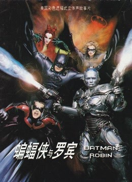 蝙蝠侠与罗宾(普通话)
